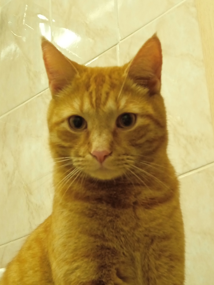 ������������! ���� ����� �����, ��� 47 ��� � ��� ��� ���������