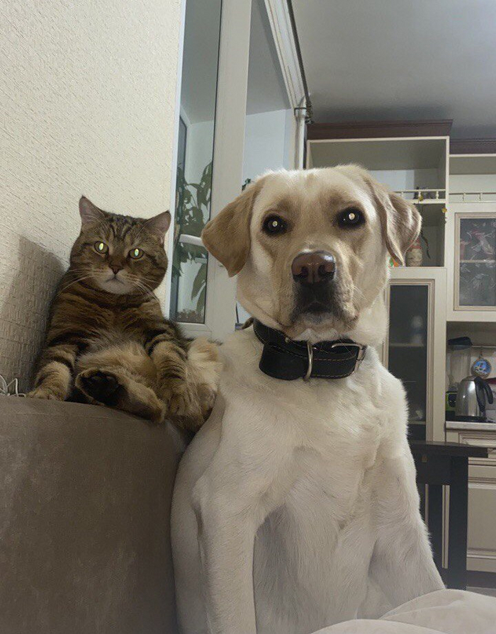   , , , ,  