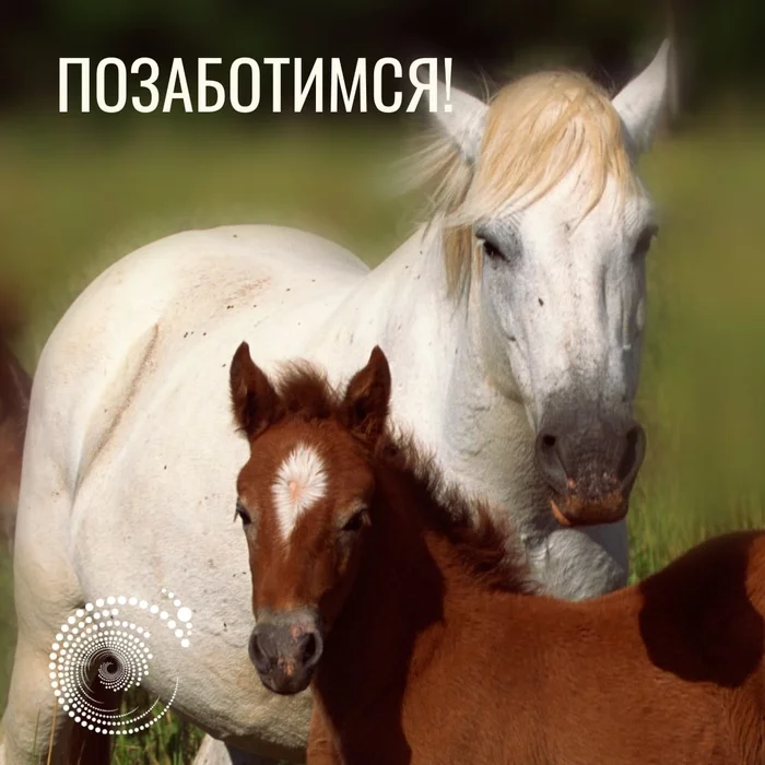 Let's take care! - SGM, Psychology, Психолог, Psychological help, Help, Care