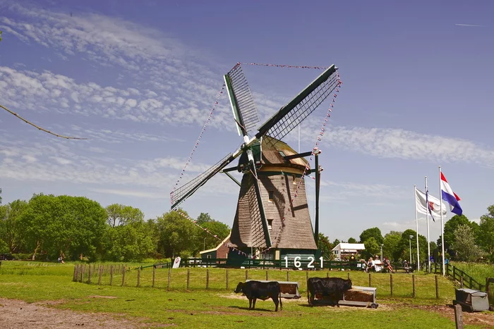 One of the oldest windmills in Holland - My, Netherlands (Holland), The photo, Nature, Mill