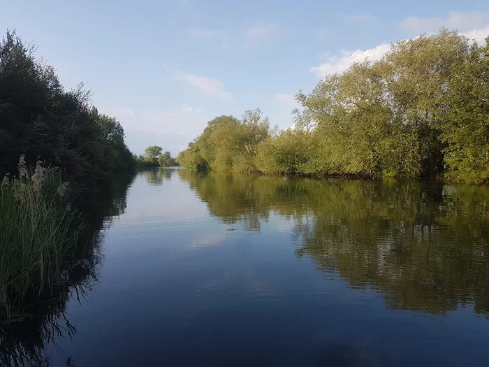 Thames upstream - My, Thames, England, Great Britain, River, Nature