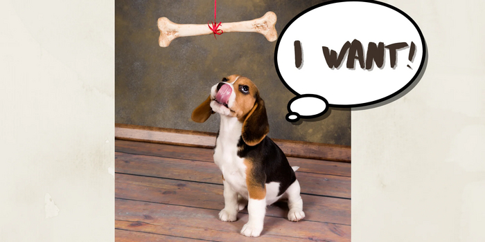 5 вариантов вежливо сказать «хочу». Лучше не использовать "want"