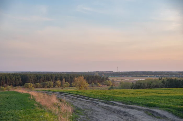 Kursk region. The road to the village of Muravlyovo. May 2021 - My, Kursk region, Road, Russia, Landscape, Village, Horizon, Sky, Sunset, 2021, The photo