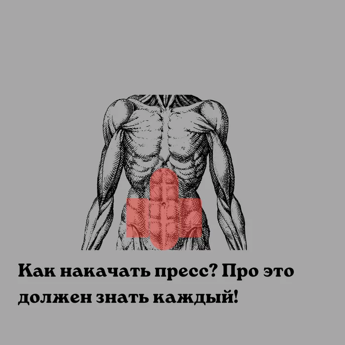 Как накачать пресс? Про это должен знать каждый! - Моё, Похудение, Фитнес, Жиросжигание, Правильное питание, Тренировка, Тренажерный зал, Тренер, Пресс, Мышцы, Фитнес-Тренер, Программа тренировок, Длиннопост