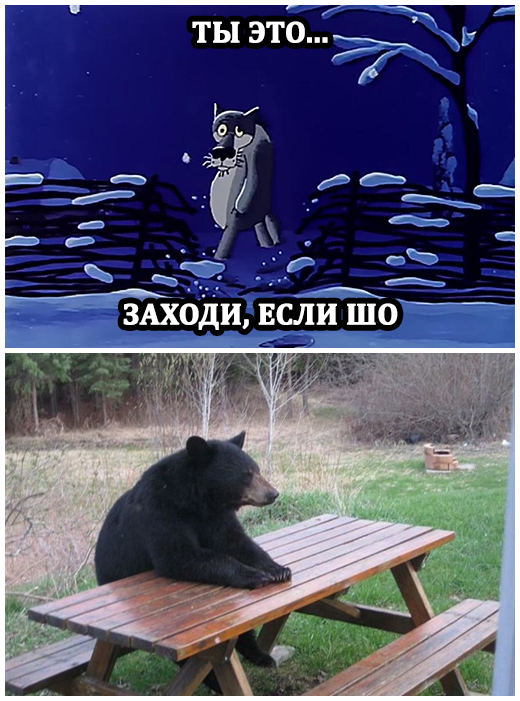 You are ... Come in if sho - My, Images, The photo, Screenshot, Memes, Cartoons, the USSR, Once upon a time there was a dog, The Bears, Picture with text