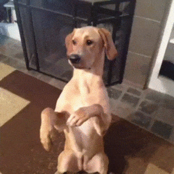   , , , 
