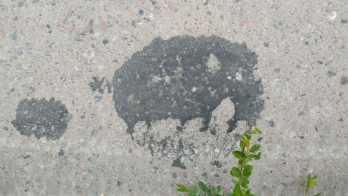 �������� ��������