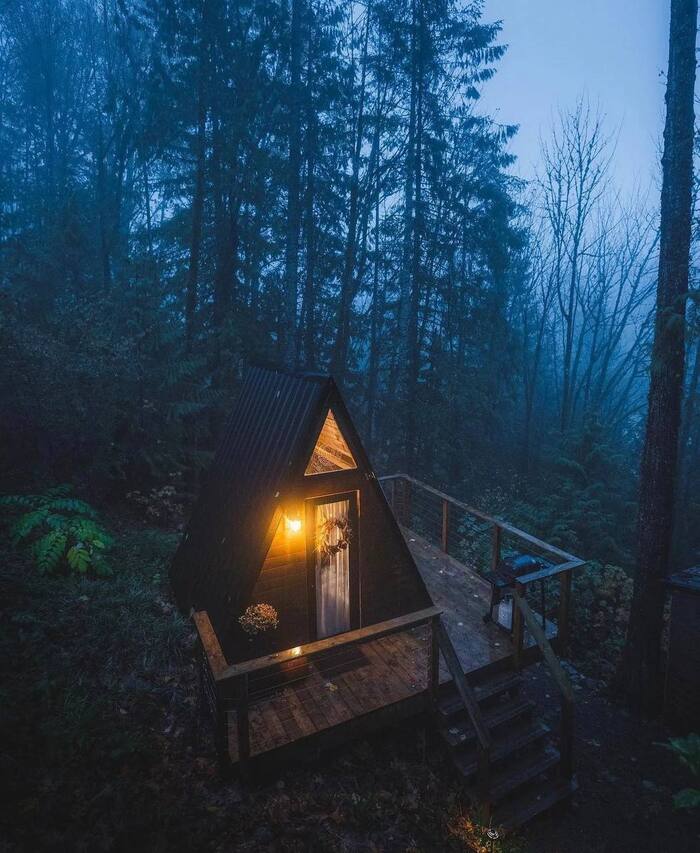 House in the forest - Atmospheric telegram channel - Forest, The nature of Russia, wildlife, Nature, House in the woods, Advertising, Advertising on Peekaboo, Telegram, Longpost, Camping, The photo