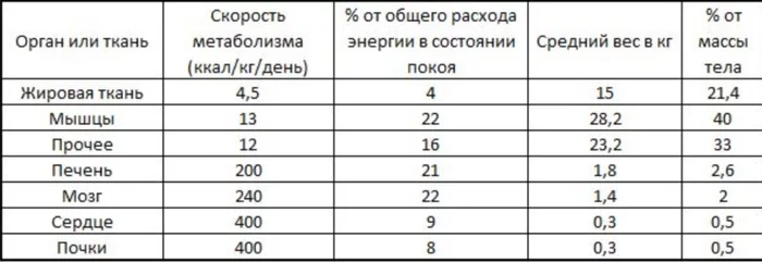 Окисление энергетических субстратов органами и тканями нашего организма - Похудение, Диета, Органы, Мышцы, Здоровье, Режим, Жир, Углеводы, Белок