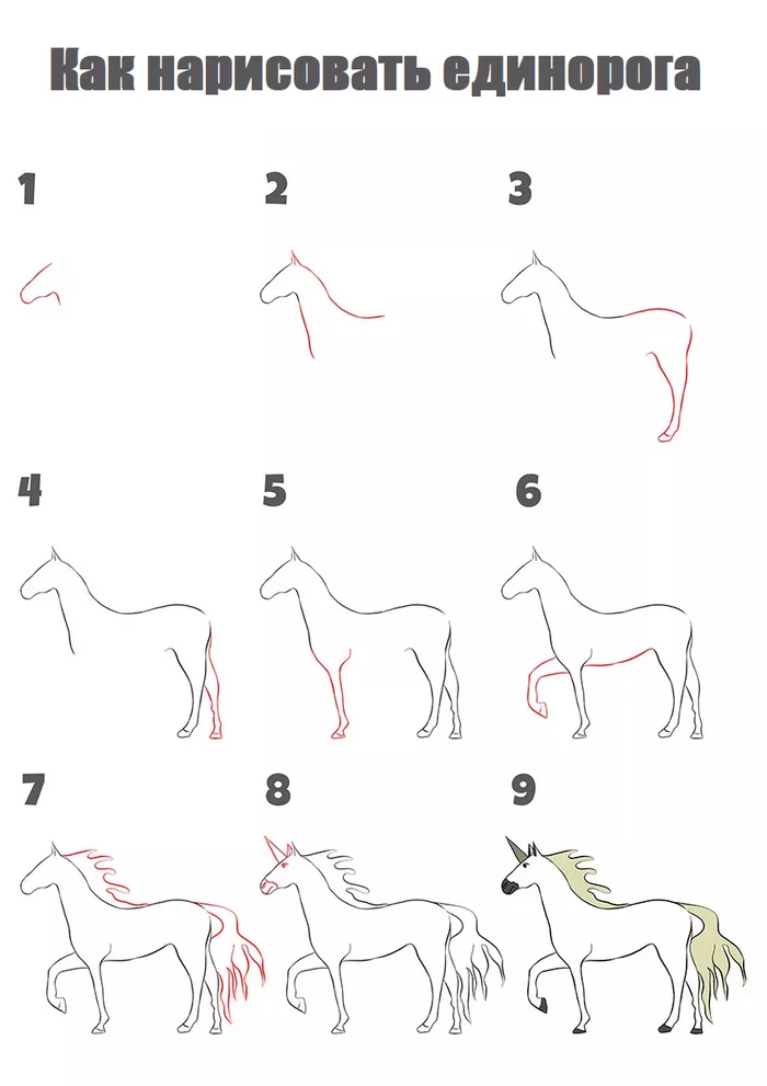 How to draw a unicorn step by step - Unicorn, Creation, Painting, Beginner artist, Drawing process, Digital, Art, Digital drawing, Tutorial, Fantasy, Drawing
