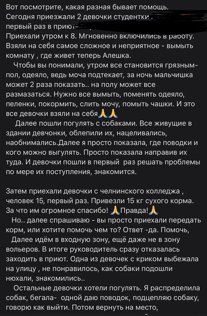 Животный бизнес - Негатив, Воспитание, Волонтерство, Люди, Благотворительность, Бездомные животные, Собачьи будни, Приют для животных, Потеряшка, Щенки, Длиннопост, Помощь животным