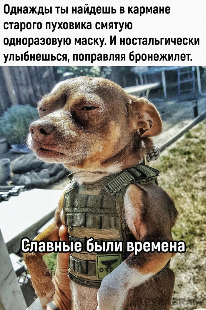 ����� �� ���� �������� � 1 �����