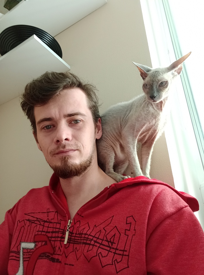 Кот все ещё растет И ему явно что не нравится