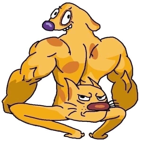 Когда пропускал День кота