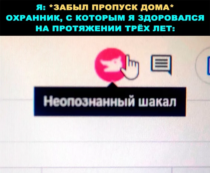 Неопознанный шакал - Картинка с текстом, Мемы, Юмор, Охранник, Пропуск, Google Таблицы