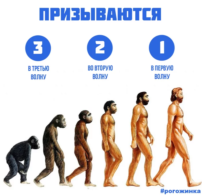 I myself am in the 2nd or 3rd, it seems to work!)) - My, Humor, Mobilization, Picture with text