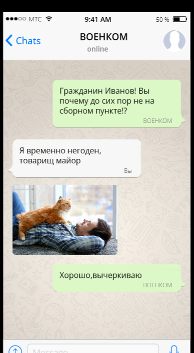 Perfect - My, Humor, cat, Mobilization, Screenshot, Correspondence