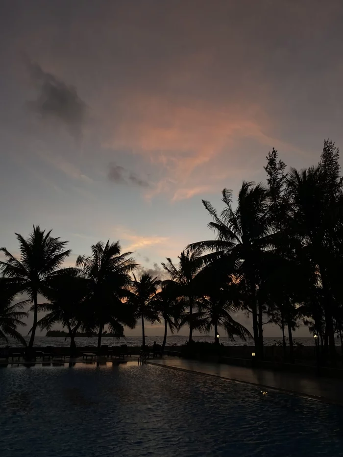 Sunset sky in the Maldives - My, Sunset, Wallpaper, Sky, Palm trees, Evening