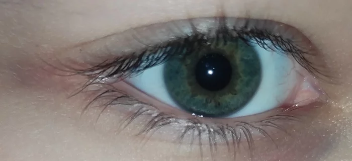 What's the color? - Eyes, Green eyes, Grey eyes, Color, Eye color without lenses