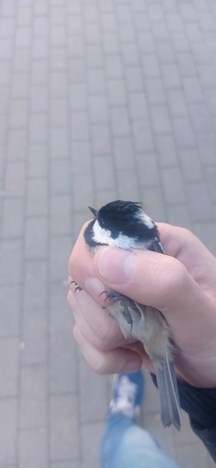    , , , , 