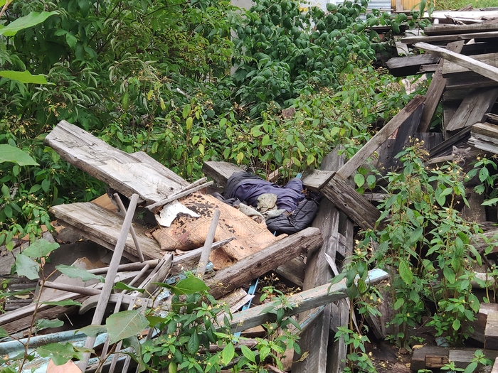 ����� ���� �����