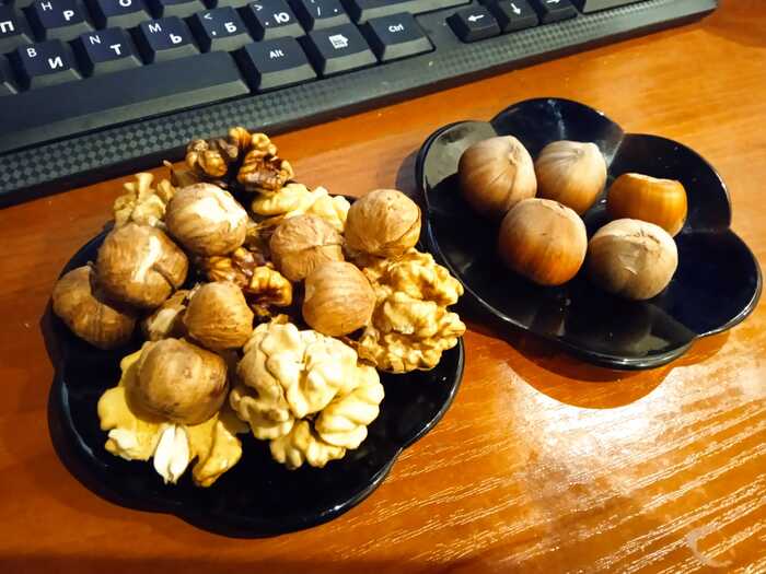 Autumn walnut - My, Autumn, Nuts, Walnuts, Hazelnut, Longpost