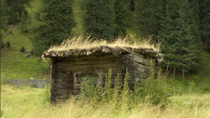 The police stormed the village of Old Believers in the Siberian taiga, mistaking it for a settlement of draft dodgers - Politics, Dodgers, Police, Old Believers, IA Panorama