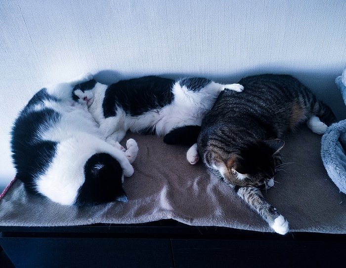 ������ 2)