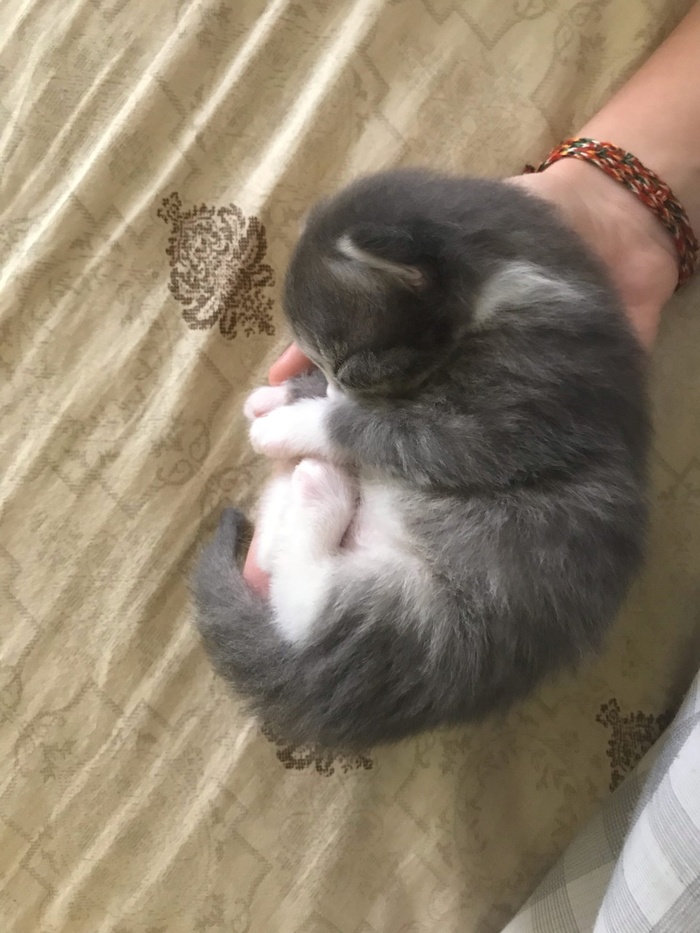   :) , ,  , , 