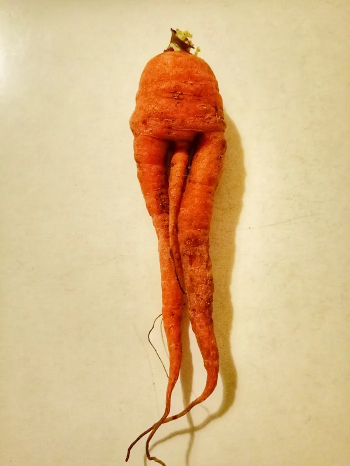 Carrot or carrot? - My, The photo, Carrot, Pareidolia