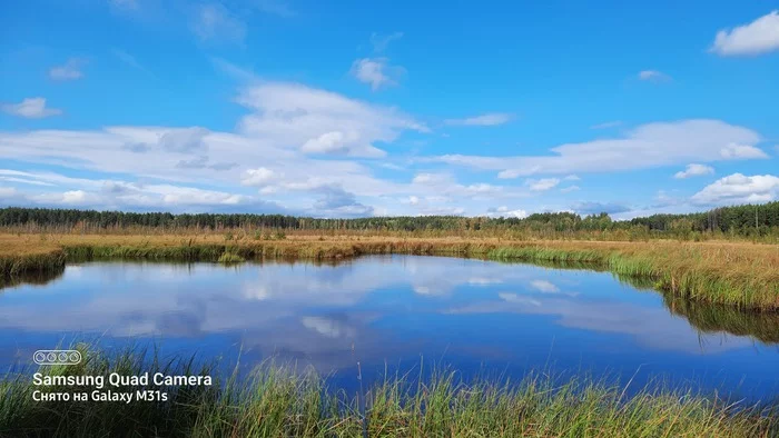 Forest Lake. Mordovia - My, Nature, Mobile photography, Mordovia, Lake