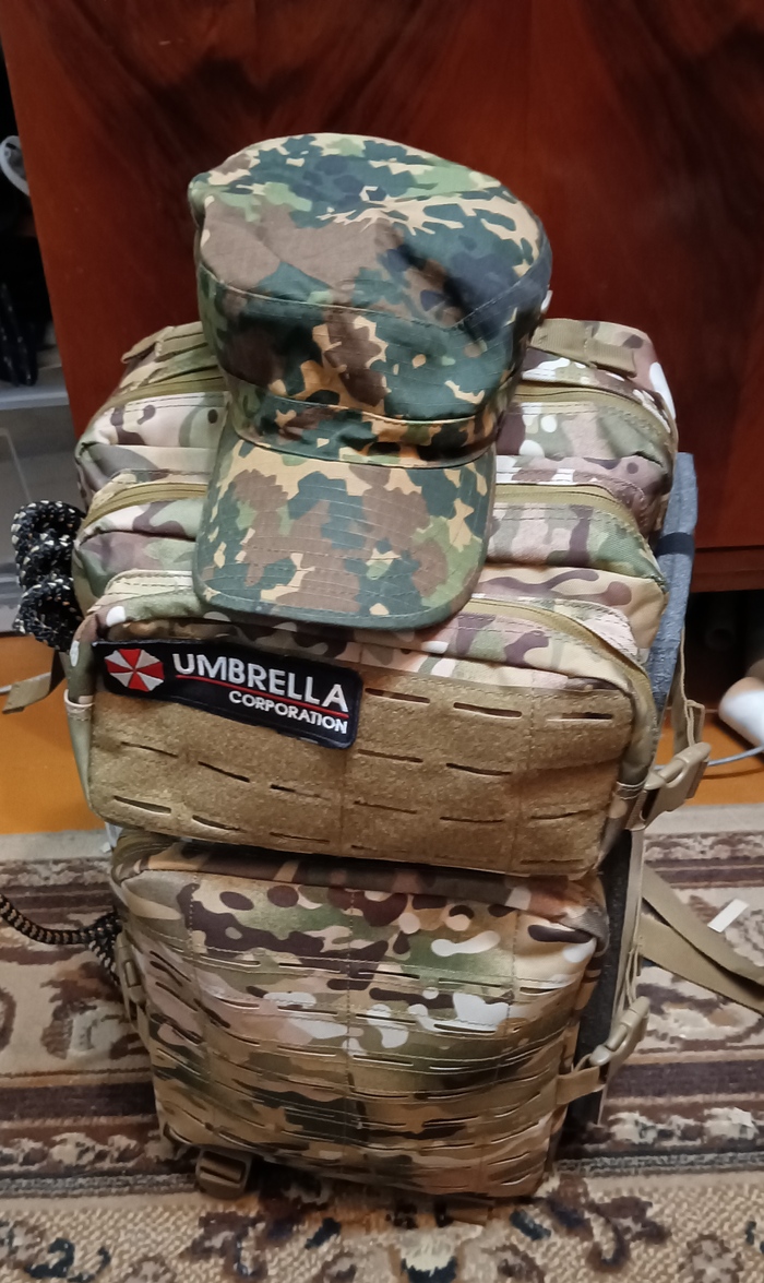 Сборы на мобилизацию Моё, Мобилизация, Сборы, Длиннопост, Политика