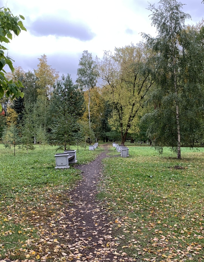 Меланхолия