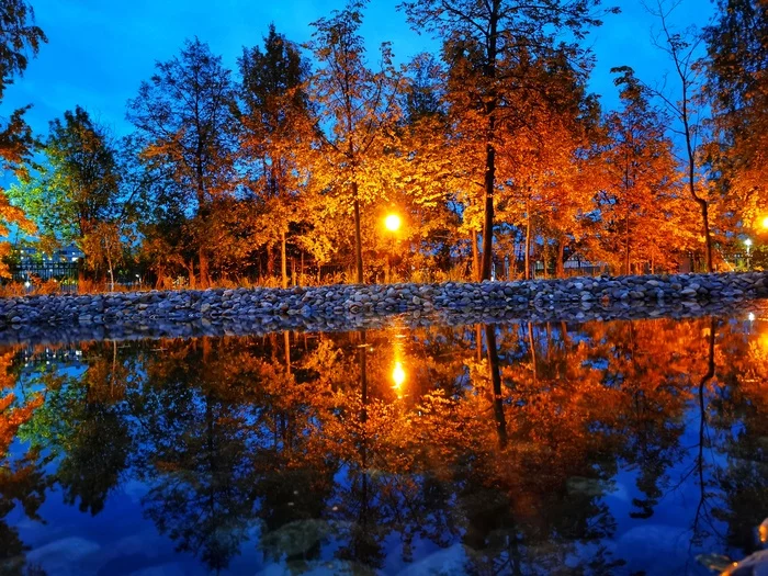Reflection - My, Lamp, Pond, Evening, A rock, Mobile photography