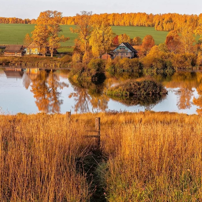 Golden autumn in the village. Kirov region, Verkhosunye - Kirov region, The photo, Nature, beauty, Autumn