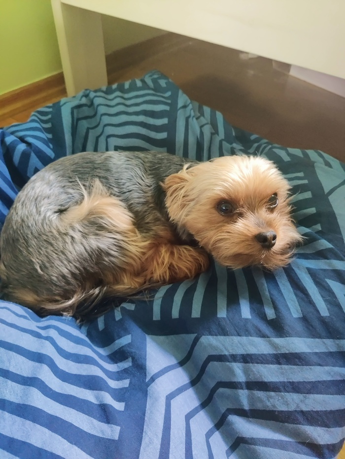 Свято место пусто не бывает