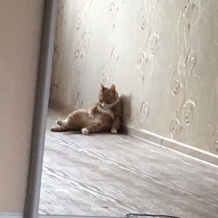 ������� ������ �������, � � ��� ������,���������, �������� ...