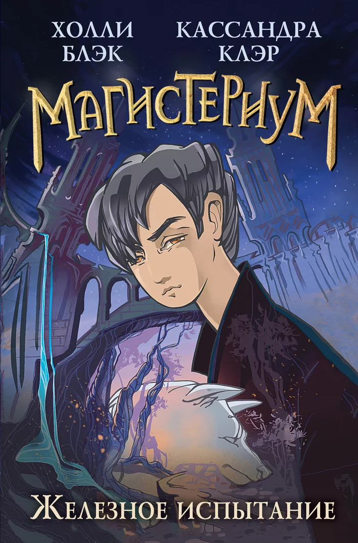 Magisterium: Managing Chaos for Beginners - What to read?, Reading, Books