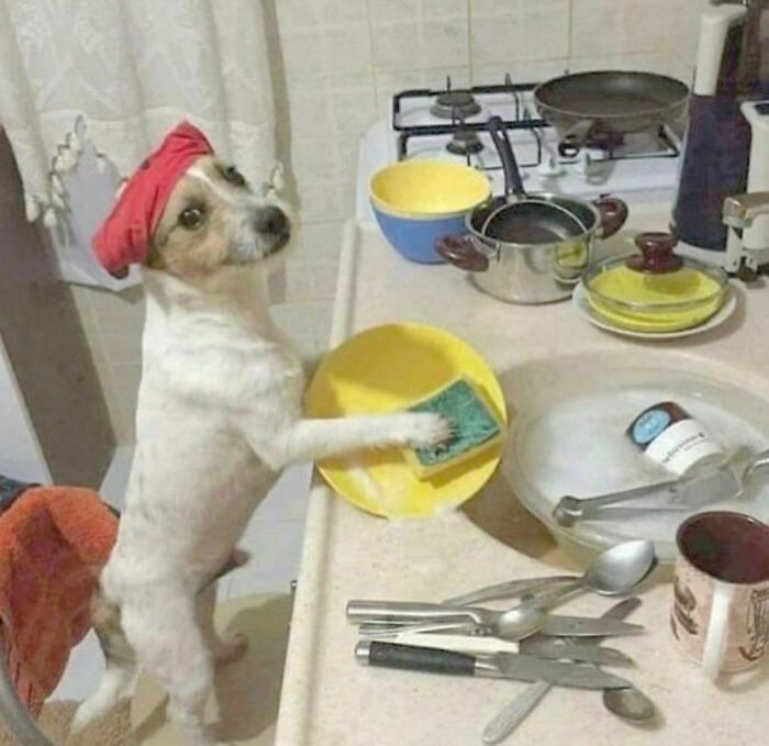       , , ,  , 