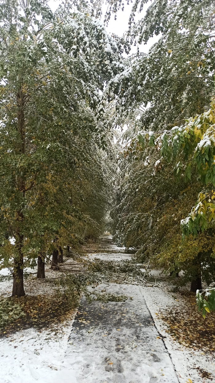 �������� ���. ������ ������)