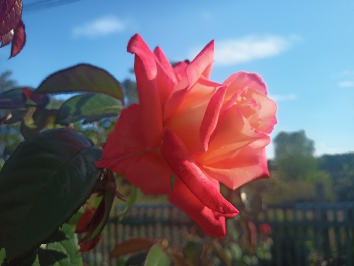 Красивое вам в ленту)