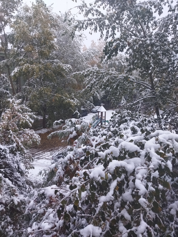 Первый снег