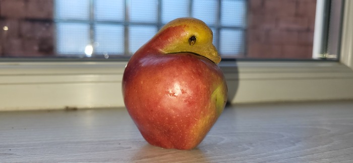 Яблоко-утёнок