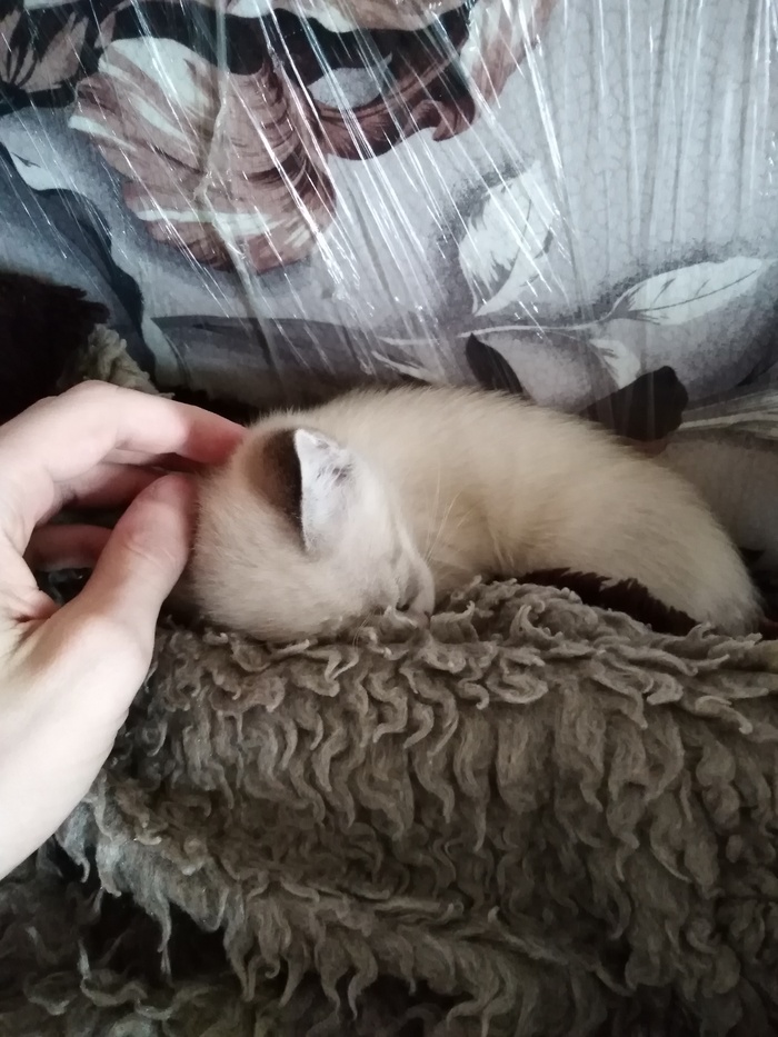 -.   , , -, 