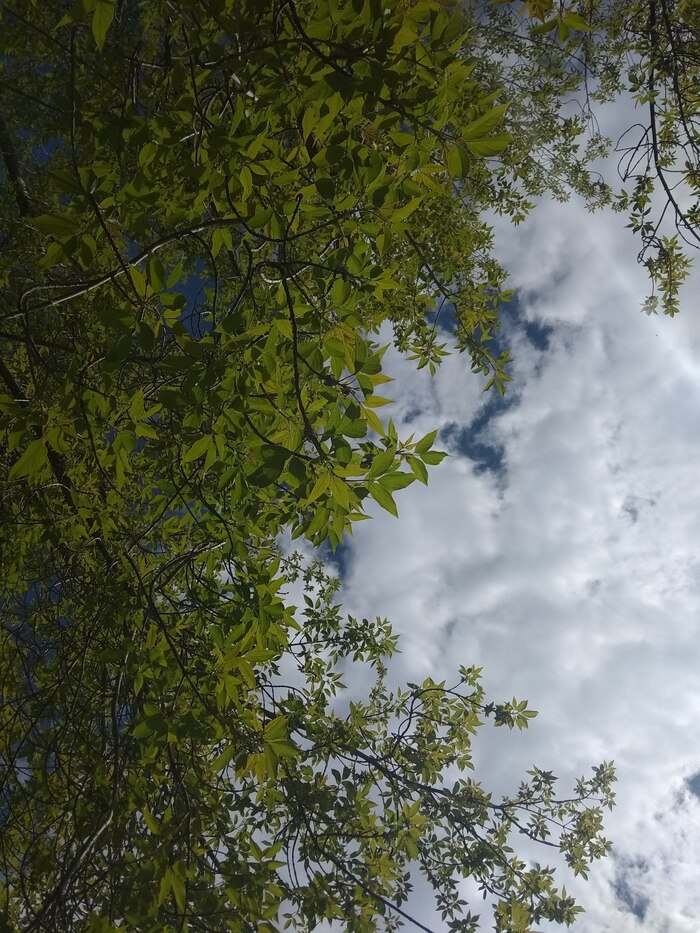 Теплая яркость лета