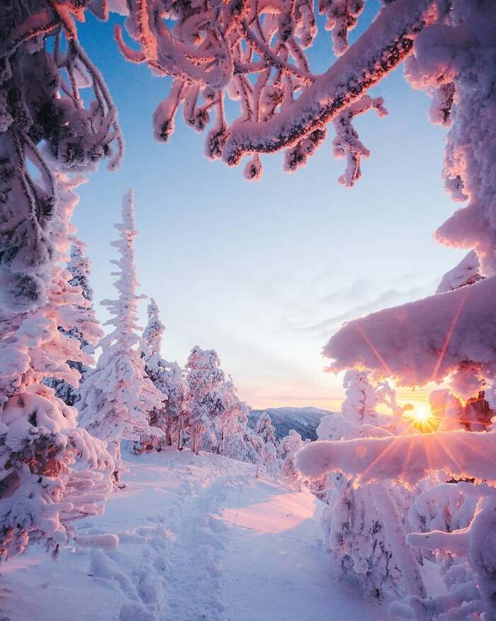 Зимняя пушистость Фотография, Снег, Ёлки, Сопки, Небо, Солнце, Финляндия