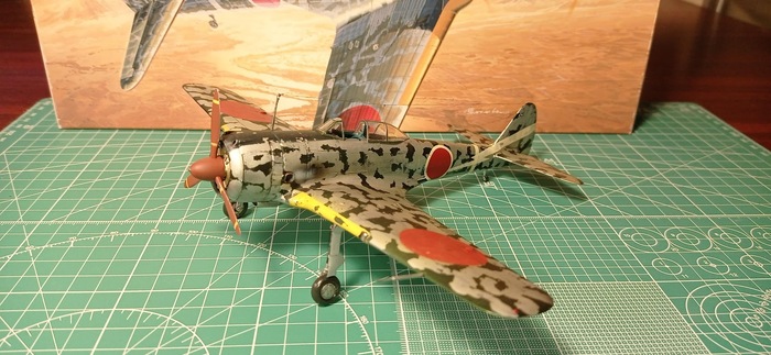 Nakajima Ki-43 II Oscar  1/48 FineMolds Моделизм, Стендовый моделизм, Масштабная модель, Коллекционирование, Вторая мировая война, Авиация, Военная техника, Длиннопост