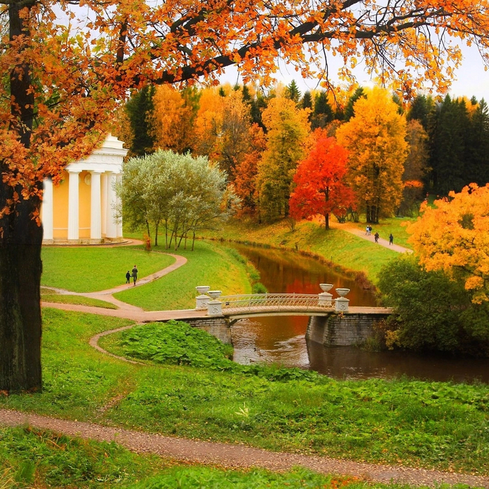 Золотая осень, Павловск Осень, Природа, Фотография, Красота, Санкт-Петербург