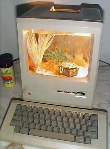 imac g3 fish tank