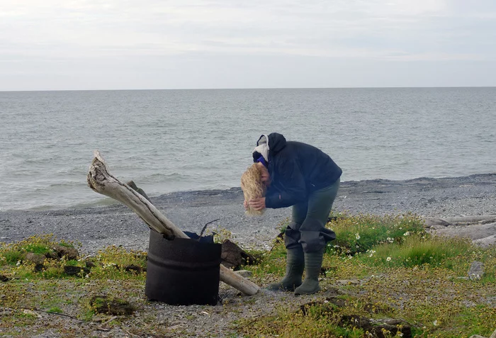 Between the old and the new earth - My, Author's story, Walruses, Longpost, Story, Nature, Video